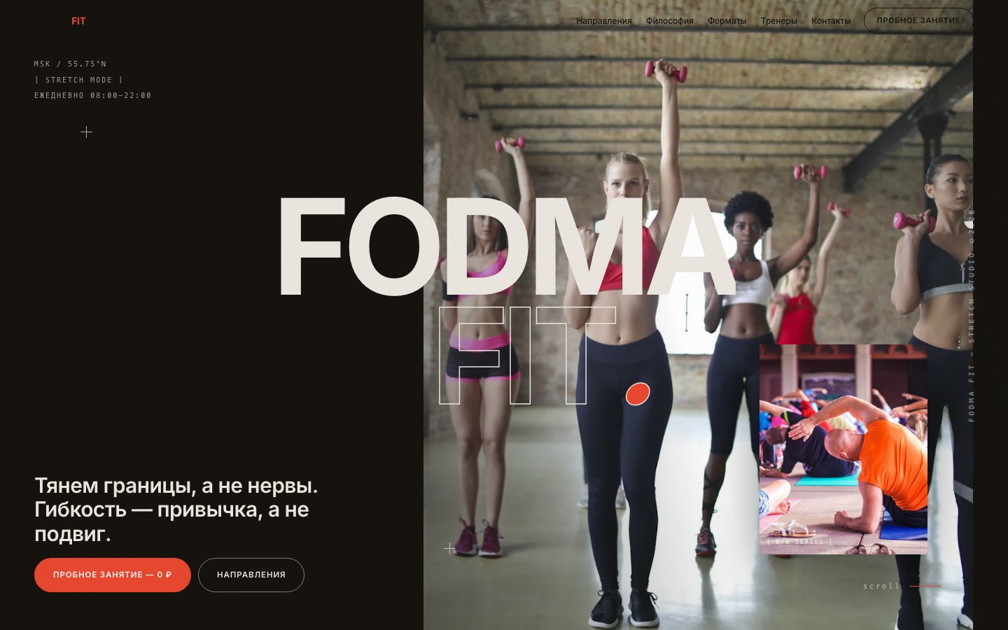 Живое превью сайта FODMA FIT